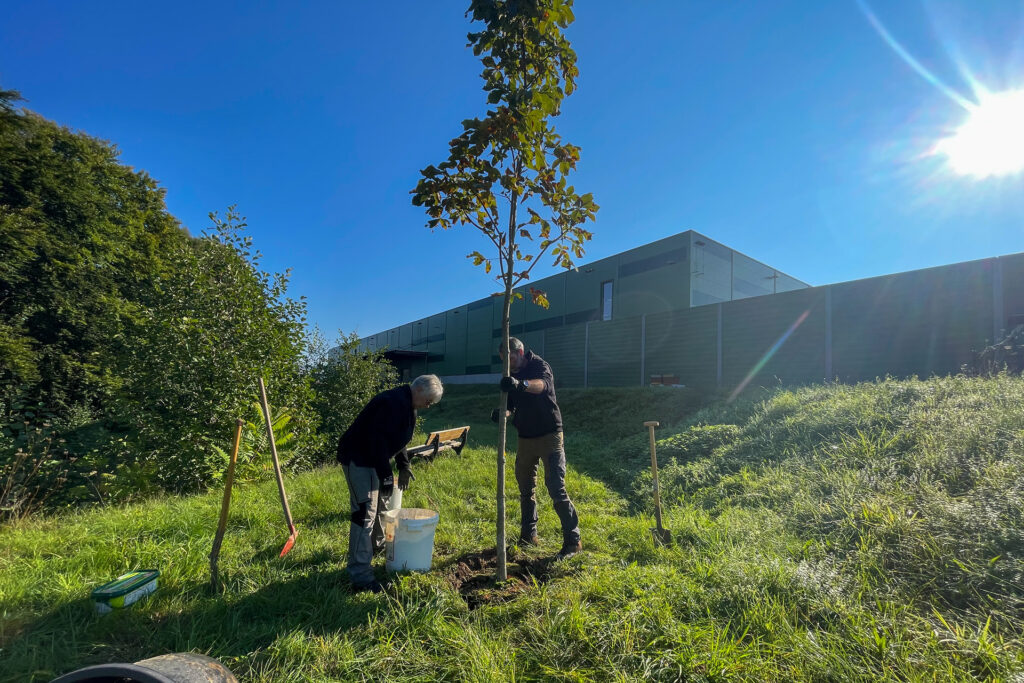 Planting trees, tree-planting challenge, REINHOLD KELLER Group