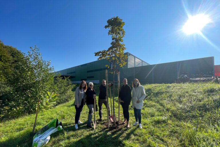 #TEAMRK tree-planting challenge, REINHOLD KELLER Group