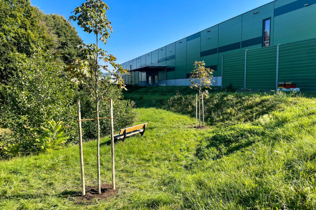 Chestnut trees, tree-planting challenge, REINHOLD KELLER Group